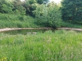 wandeling rondom Elsloo 8.8 km