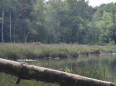 wandeling rondom Schinveld 10.4 km