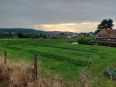 Zomeravondwandeling IVN Heuvelland 5