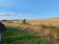 Zomeravondwandeling IVN Heuvelland 6