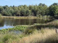 Beegderheide 