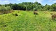 Makkelijke wandeling vanuit Brommelen