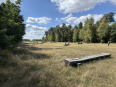 Meinweg wandeling 11 km
