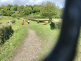 3 mooie wandelingen rondom Noorbeek: 8, 12 of 18 k