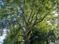 Nvs wandeling vanaf café Boszicht in Maria Hoop v