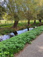 Fietstocht 30 km vanuit Brunssum