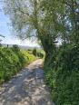 Epen (17.7 km), 5 sterren wandeling 